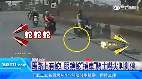 馬路上看到蛇|馬路上怎麼有蛇！騎士驚見「眼鏡蛇」嚇尖叫急剎 